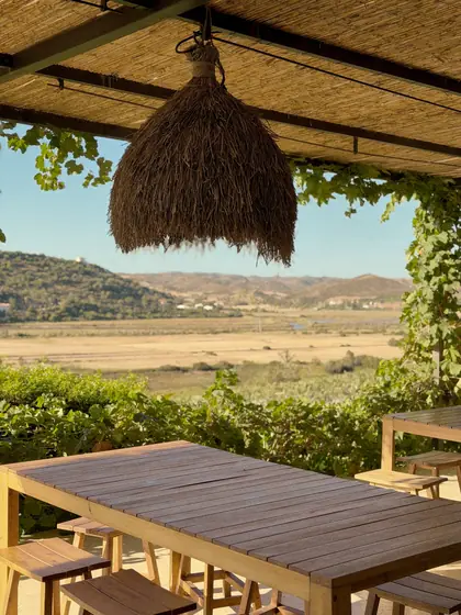 O terraço da Arvad com vista para a vinha e o vale antes do início do Vine and Fire.