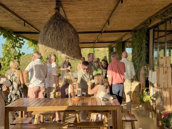 Convidados reunidos no terraço à luz dourada do fim da tarde na Arvad Vineyard.